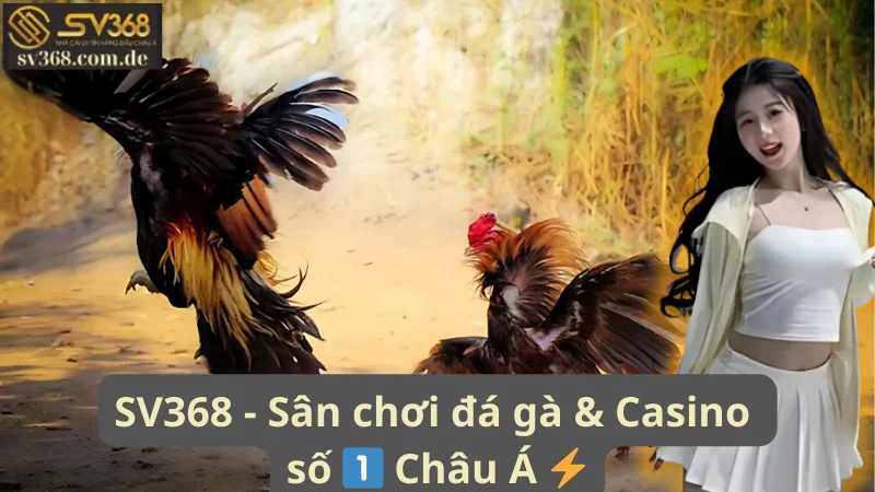 XOCDIA88 – LINK XÓC ĐĨA 88 | CHƠI XÓC ĐĨA ONLINE MIỄN PHÍ [2026]