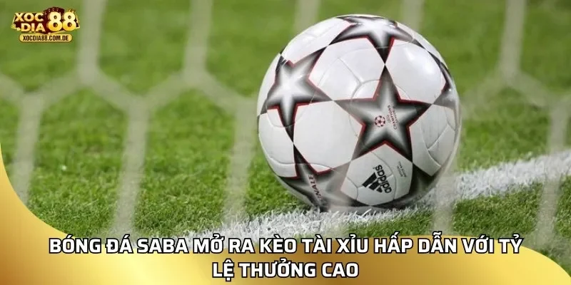 Bóng đá SABA mở ra kèo tài xỉu hấp dẫn với tỷ lệ thưởng cao