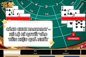 Cách Chơi Baccarat