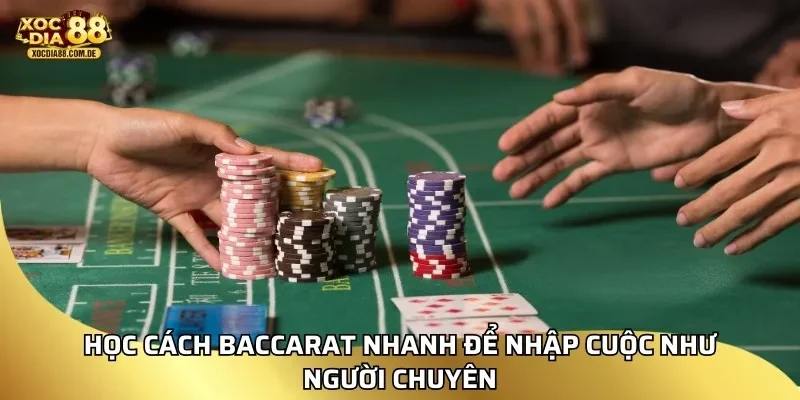 Học cách baccarat nhanh để nhập cuộc như người chuyên