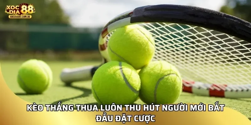 Kèo thắng thua luôn thu hút người mới bắt đầu đặt cược