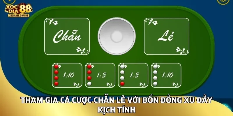 Tham gia cá cược chẵn lẻ với bốn đồng xu đầy kịch tính