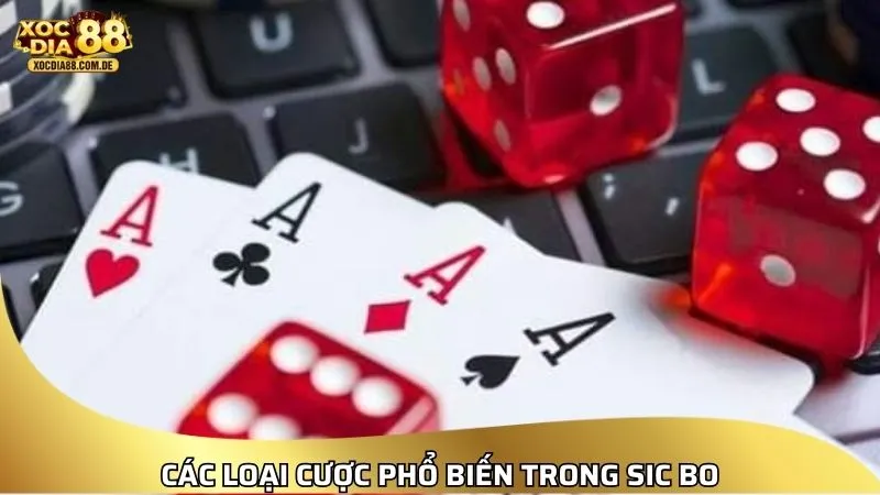 Các loại cược phổ biến trong Sicbo hiện nay