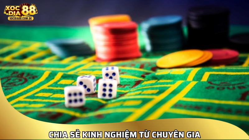 Chia sẻ kinh nghiệm từ chuyên gia