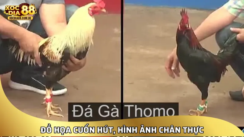 Đồ họa cuốn hút, hình ảnh chân thực