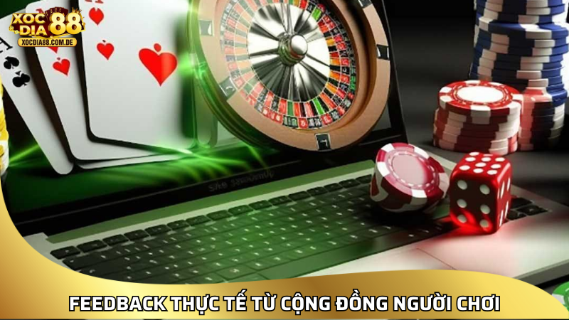 Feedback thực tế từ cộng đồng người chơi