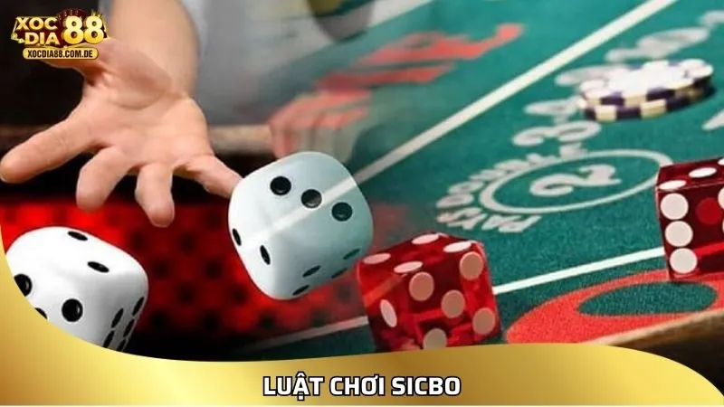 Giới thiệu luật chơi Sicbo cơ bản