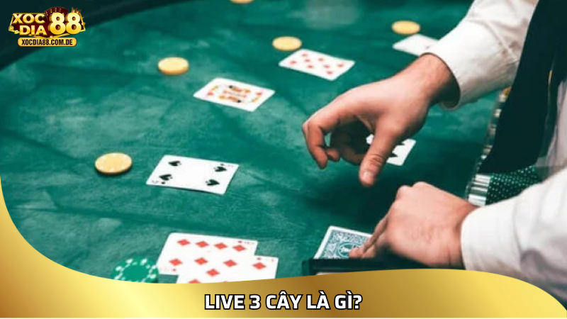 LIVE 3 CÂY là gì?