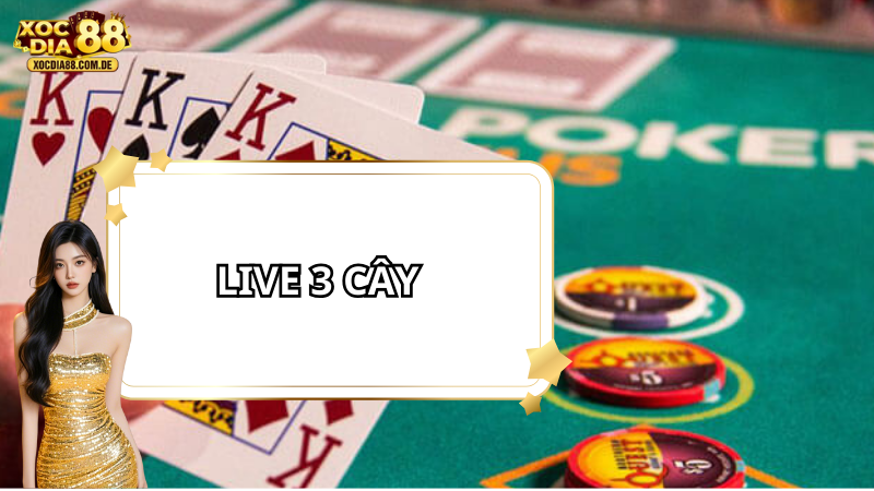 Live 3 Cây: Trải nghiệm & Hướng dẫn chơi hiệu quả tại XOCDIA88