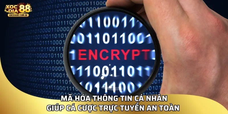 Mã hóa thông tin cá nhân giúp cá cược trực tuyến an toàn 