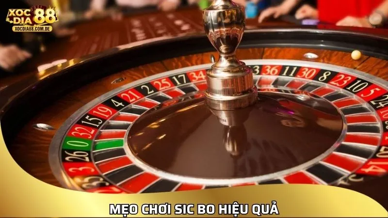 Mẹo chơi Sicbo hiệu quả cho người mới