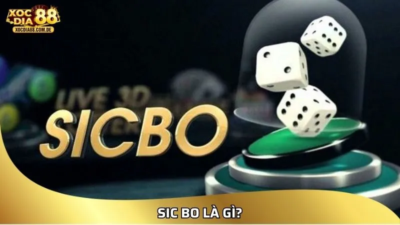 Sic bo là gì?
