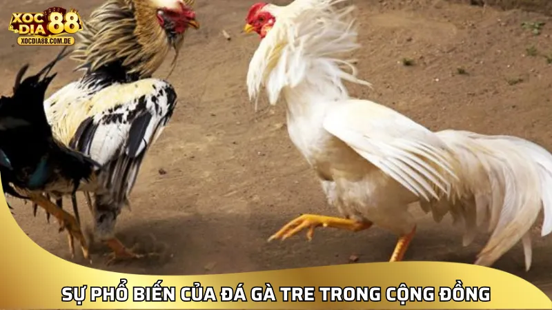 XOCDIA88 – LINK XÓC ĐĨA 88 | CHƠI XÓC ĐĨA ONLINE MIỄN PHÍ [2026]