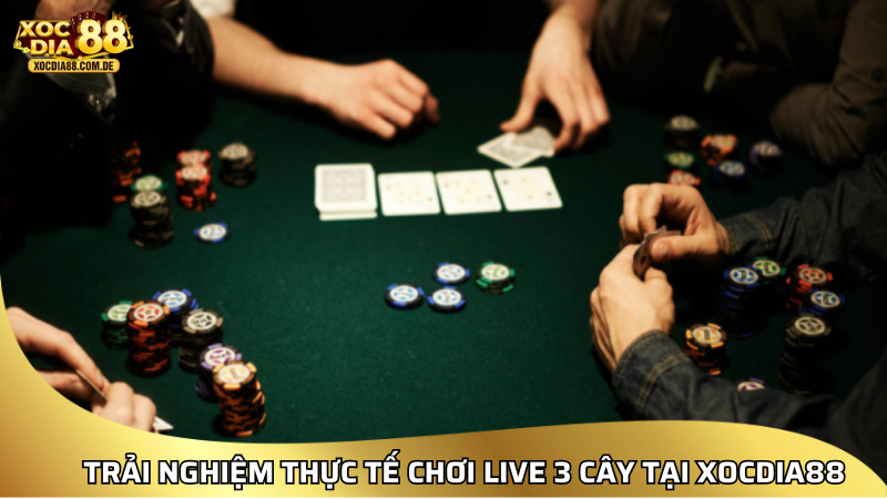 Trải nghiệm thực tế của người chơi Live 3 Cây tại XOCDIA88