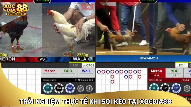 Trải nghiệm thực tế khi soi kèo tại XOCDIA8