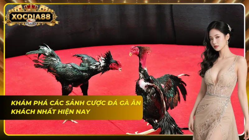 Tụ hội đủ các giải đấu Thomo, Philippines và nhiều hơn thế nữa