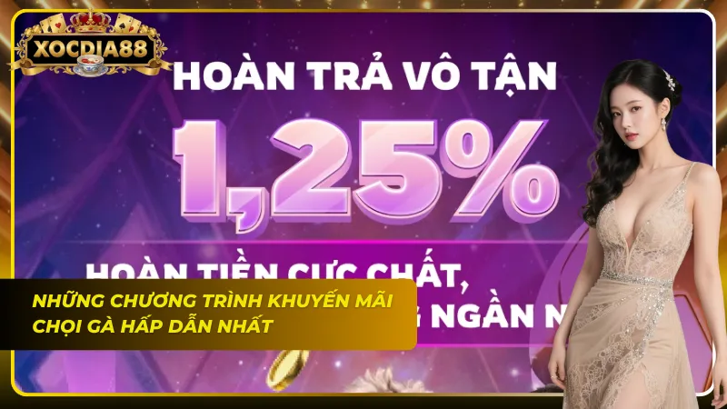 Thưởng liên hồi giúp gia tăng lợi nhuận cho anh em bet thủ